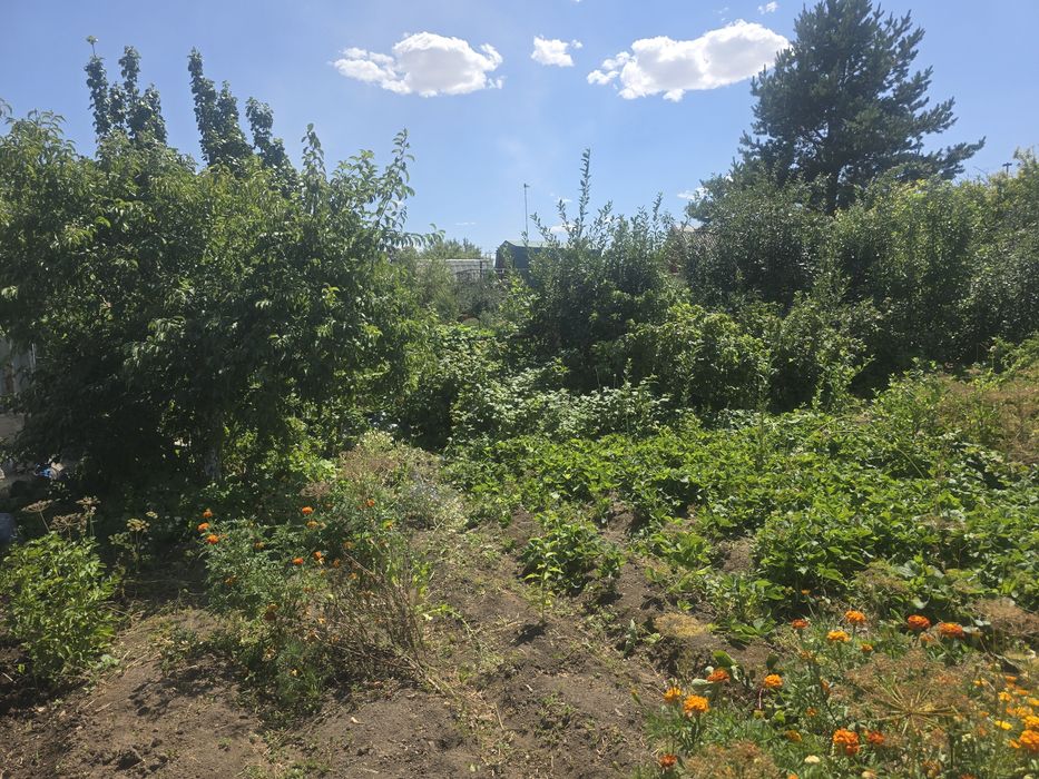 Продам дачу Медьзавод