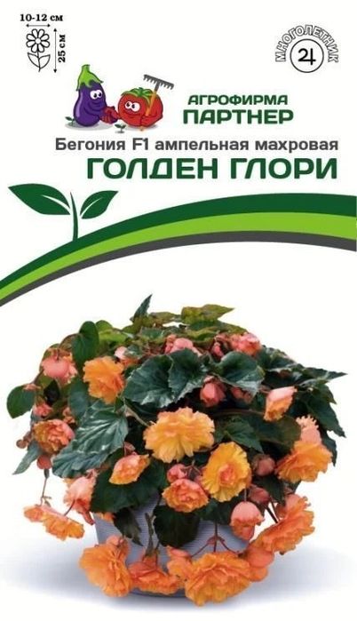 Бегония ампельная , клубневая