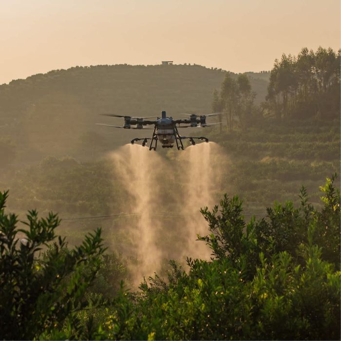 Prestări Servicii Tratamente și Împrăștiere cu Drona DJI Agras T100