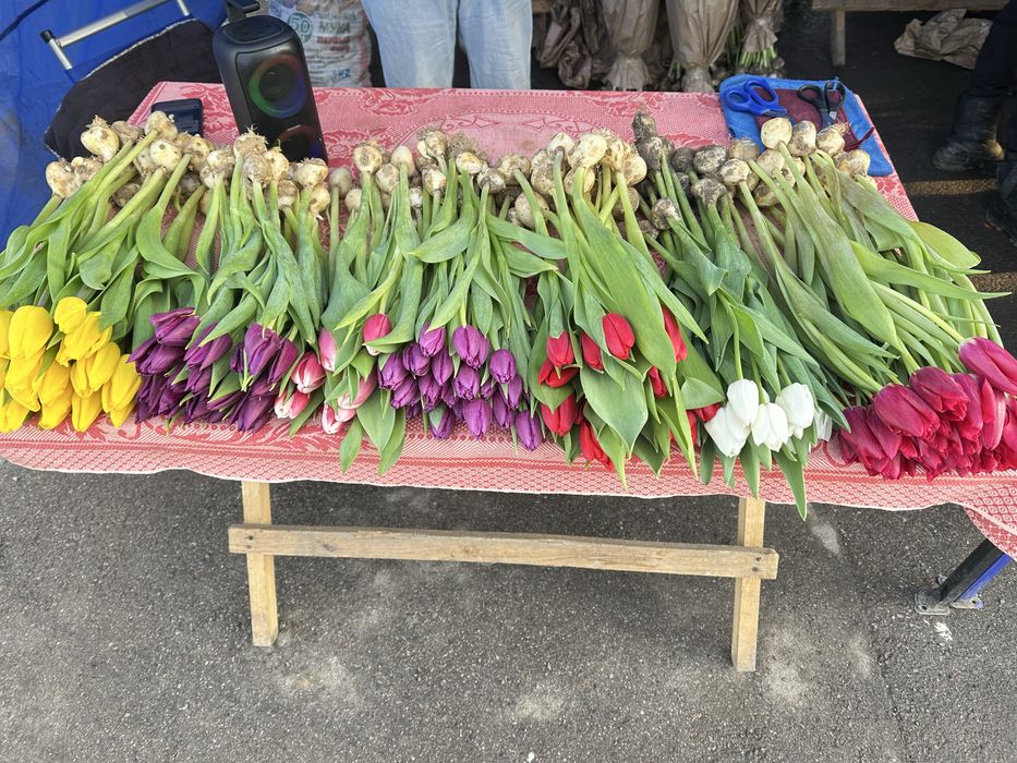 Соберем и Отправим Букет Тюльпаны