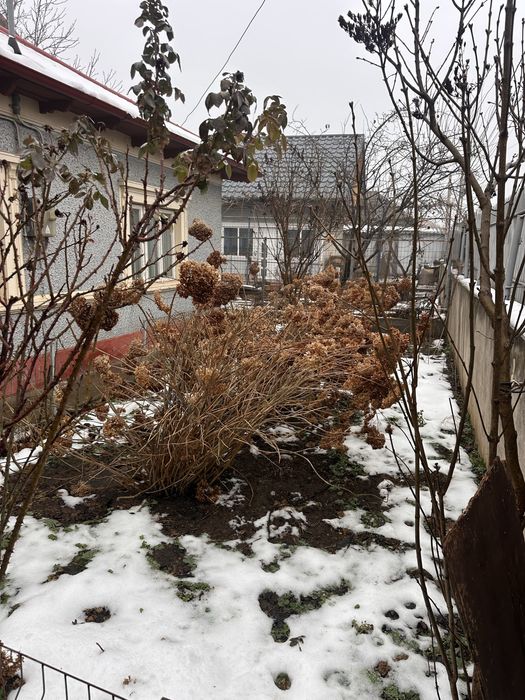 Casa de vanzare Medgidia Pret Negociabil!