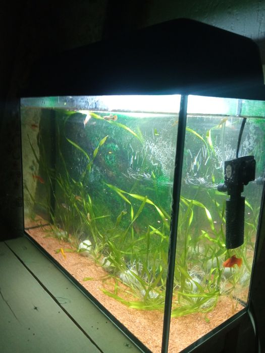 Срочно продам аквариум в полном комплекте