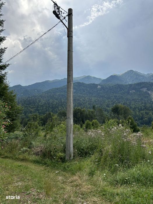 Teren intravilan, 1000 mp, proiect duplex P+E, zona Sinaia - Zamora