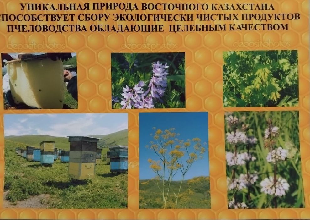 Мед(разнотравье)/Бал