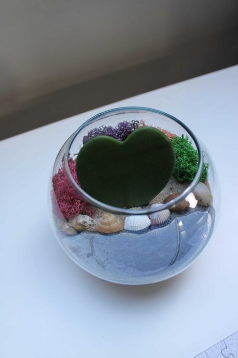 Флорариум с езеро - подарък за рожден ден и др поводи