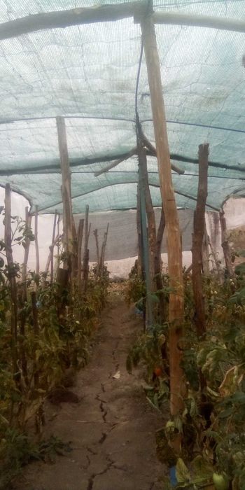 Продава се къща/вила в с.Телиш Плевен