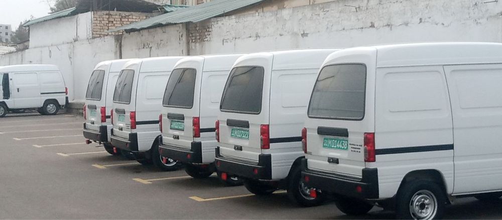 Damas van lar bor 2023. Gazlari bor