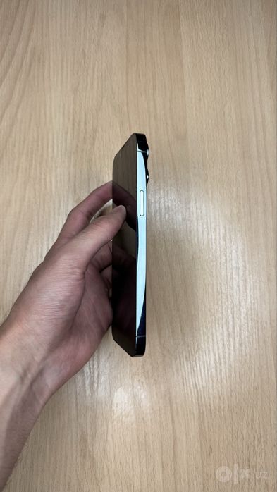 iPhone 13 Pro Max ideal