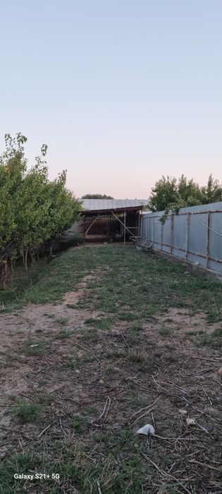 Uy turar joy Buxoro viloyat vobkent tumanida 12 sotiq