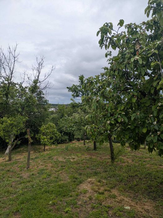 Casă de vânzare, Mihai Bravu, Giurgiu, locuinta permanenta sau casa de vacanta