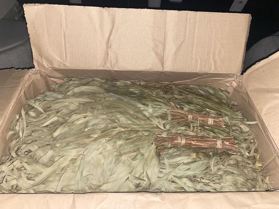 Банные веники