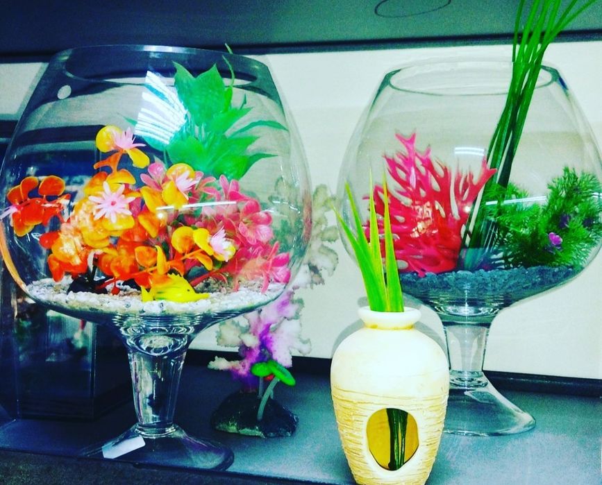 Аквариум.Навои Фрунзе