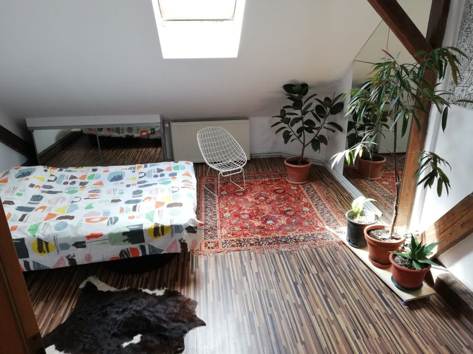 Închiriez apartament  4 camere 3 dormitoare, Pet Friendly, strada Bul Victor Babeș