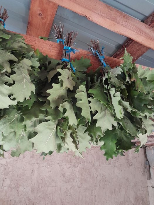 Продам веинек и дуб для баня