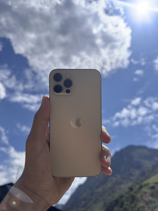 iphone 12 pro ideal