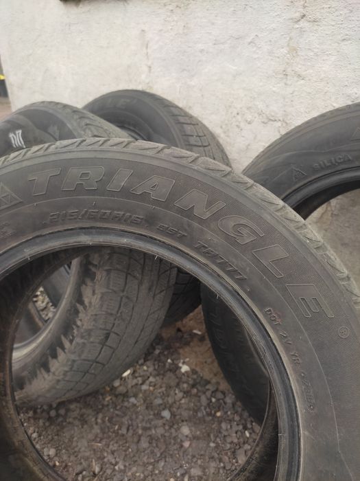 Резина TRIANGLE   snow lion