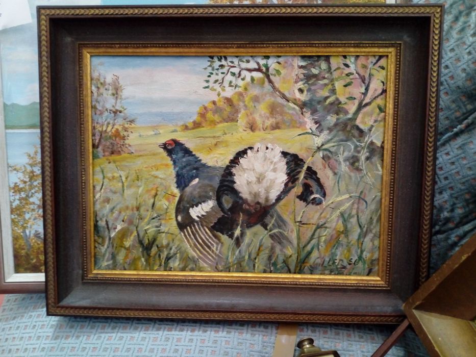 Tablou / Pictura : cocos de munte