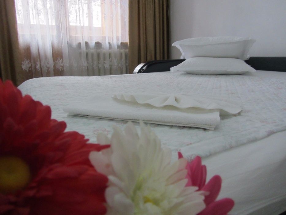 Шевченко - Ауэзова    ТРЦ Глобус   ИРМ    от хозяина