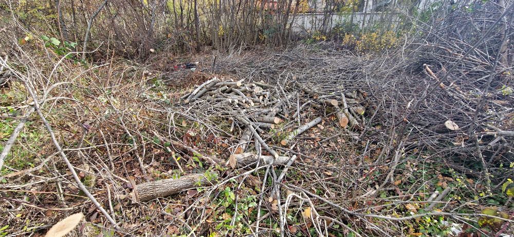 Безплатно/ Дърва за огрев различни видове,нарязани.