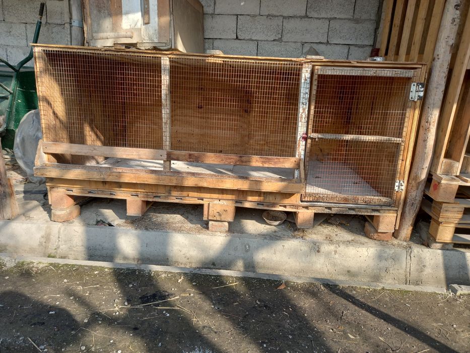 Tuvuq uchun katak sotiladi