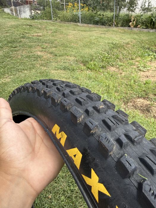 Maxxis Assegai 29