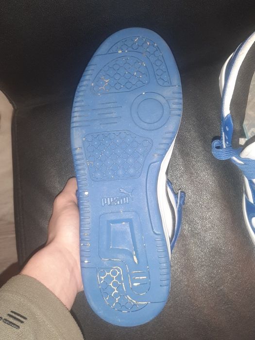 Adidași puma masime 40.5