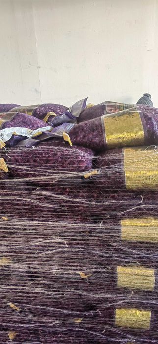 Vand Arpacic Olandez Exstra Calitate