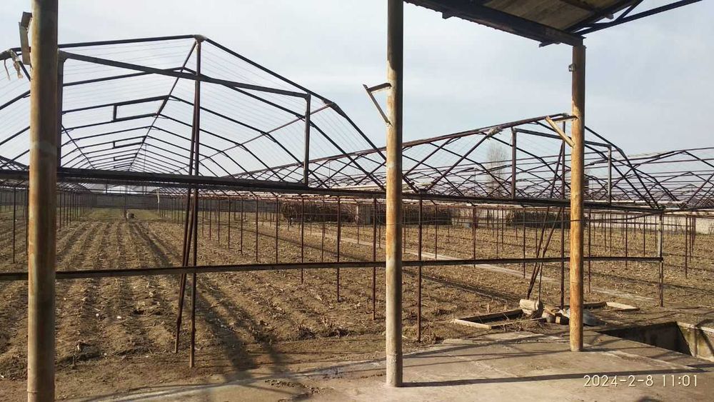 Issiqxona bino-inshoatlari