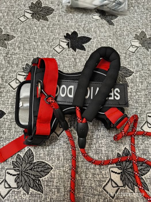 Шлейка с поводком