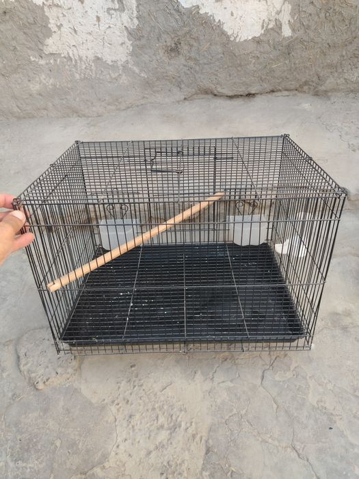 Попугай учун кафас