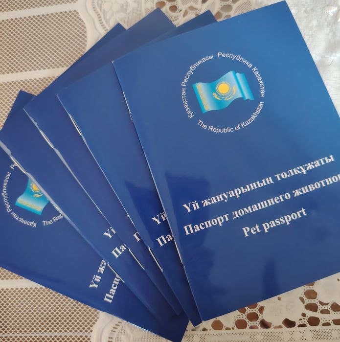 Щенки Русский Спаниель