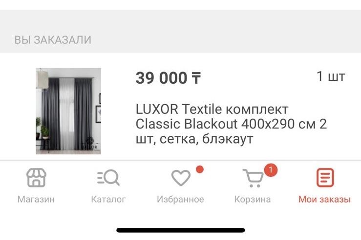 Шторы с гардиной