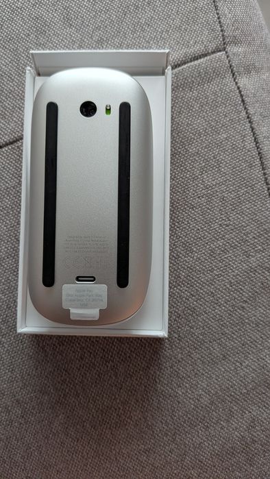 Mouse Magic Mouse Apple