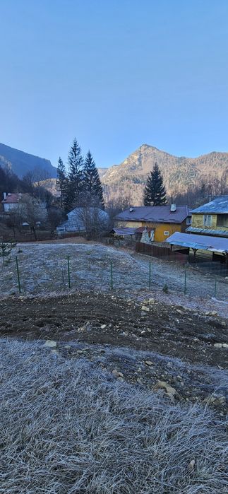 800m teren intravilan Lepsa Vrancea