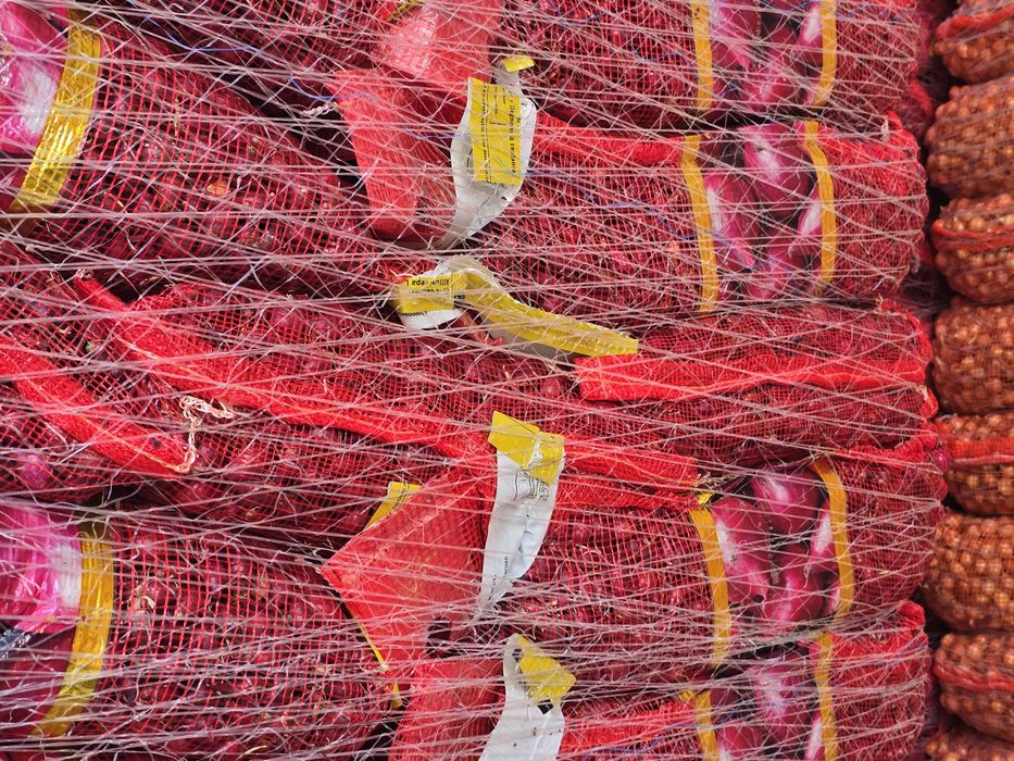 Cartofi de sămânță si arpagic stuttgarter origine olanda