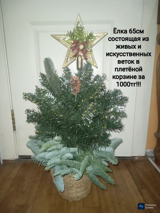 Ёлка ! В шикарном горшке