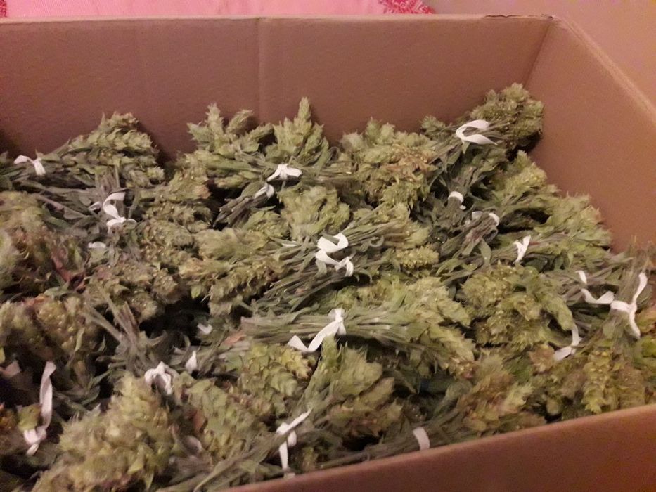 Мурсалски чай...