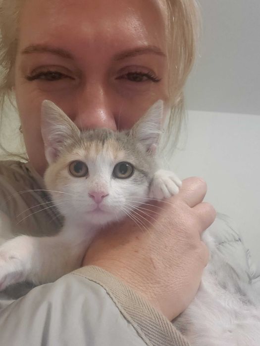 Очарователно домашне момиченце  търси любящ дом