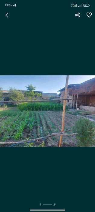 Yer sotiladi 4 sotik