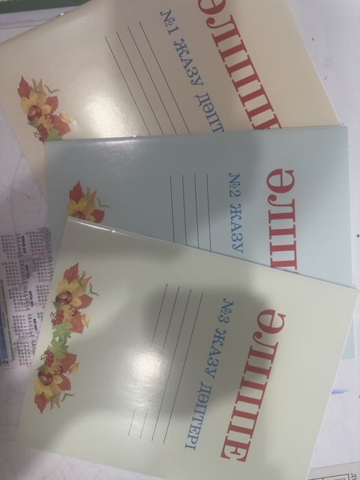 рабочие тетради