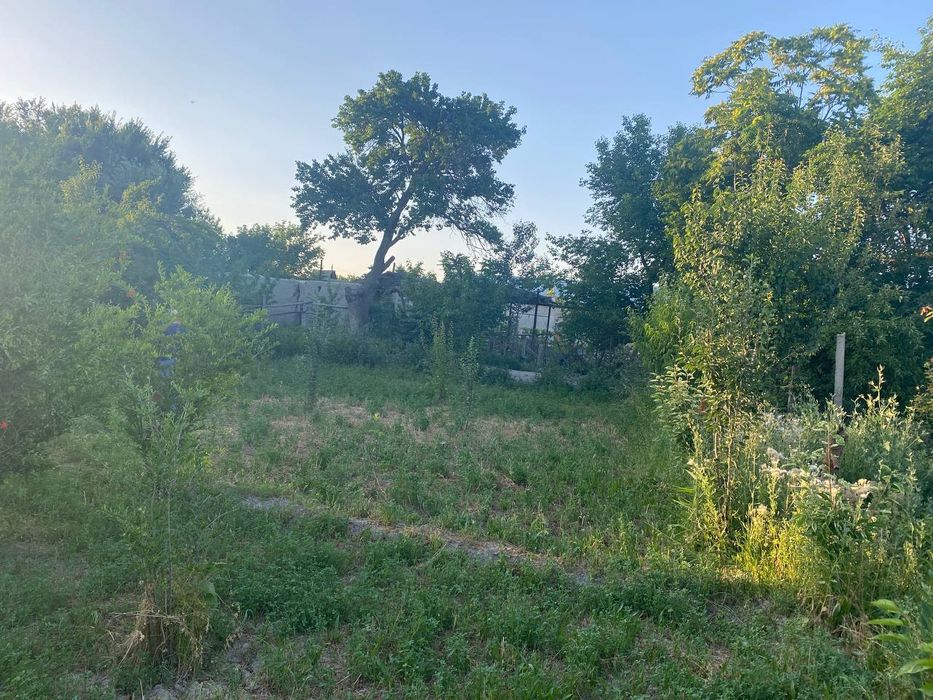 12 soʻtixli uchastka