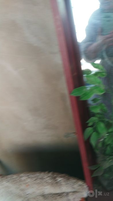 Прихожка вешалка в прихожку