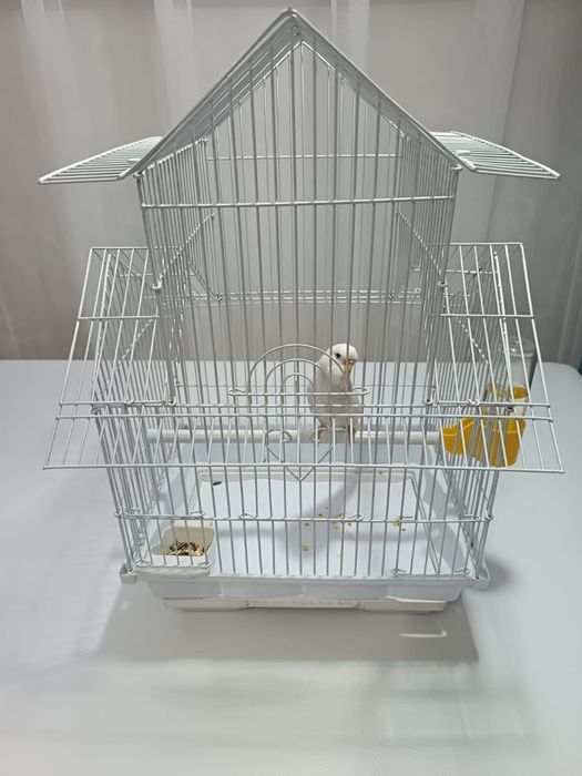 Подарок на дни рождения