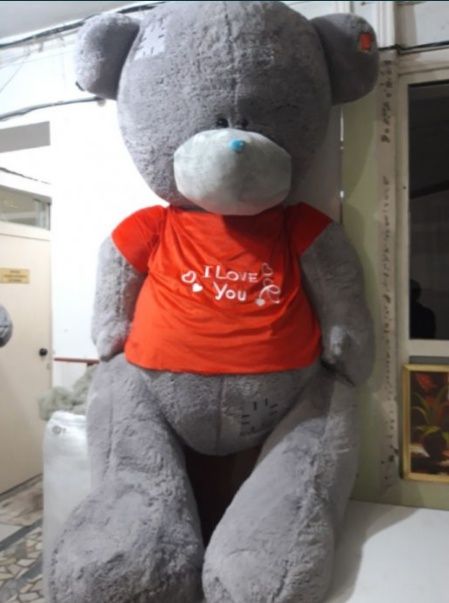 Teddy Teddi Teddiy OPTOM NARX