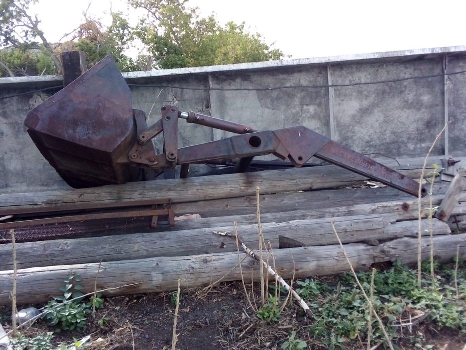 Продам Кун в хорошем состоянии