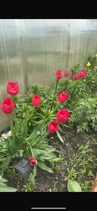 Продам дом , дача.