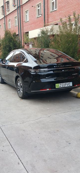 Byd Chazor 2024yil