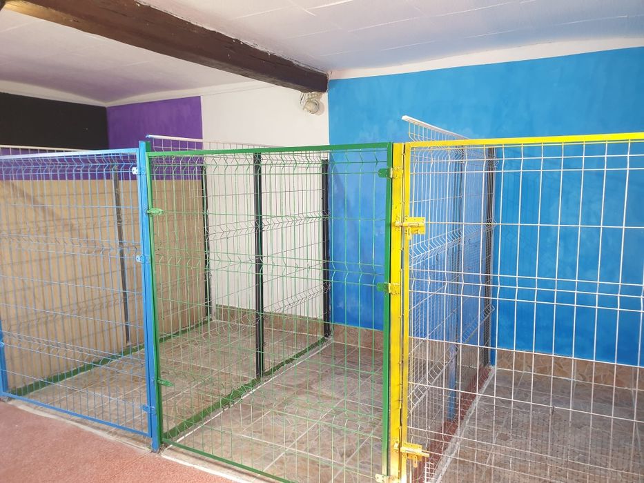 Cazare câini , pensiune canină