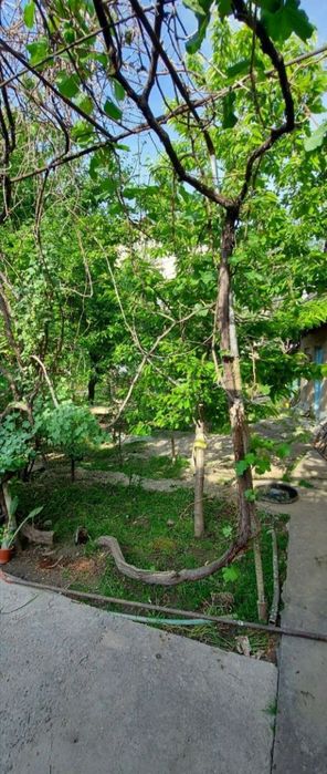 Продаётся участок шумилоский городок ориентировочно обод маккон махаля