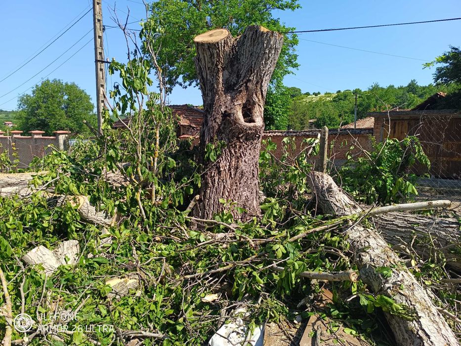 Дървен материал от орех